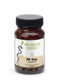 All Day_Michaelis