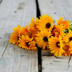 Ein Bund leuchtend orangefarbener Blumen liegt auf einem rustikalen Holztisch.